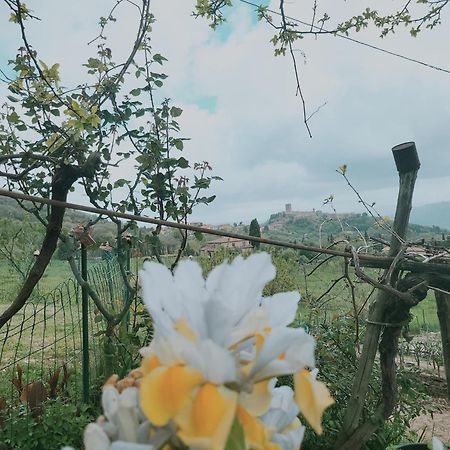 I Castagnini Daire Montecatini Val di Cecina Dış mekan fotoğraf