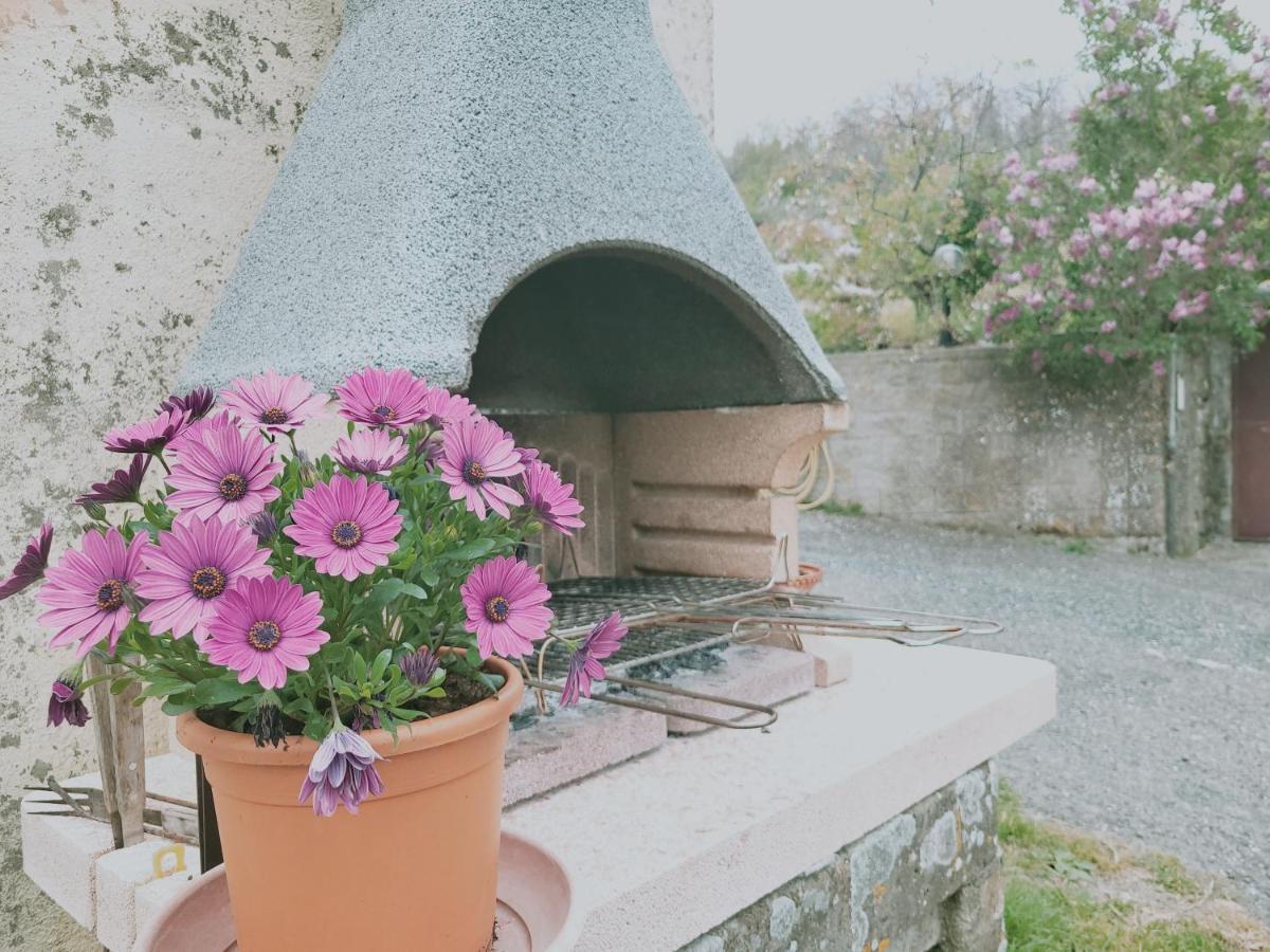 I Castagnini Daire Montecatini Val di Cecina Dış mekan fotoğraf