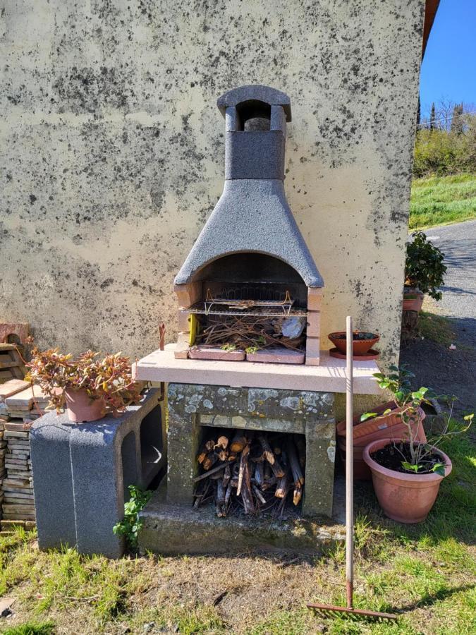 I Castagnini Daire Montecatini Val di Cecina Dış mekan fotoğraf