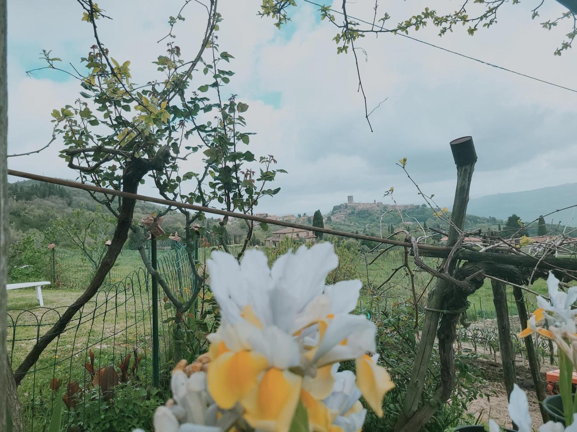 I Castagnini Daire Montecatini Val di Cecina Dış mekan fotoğraf