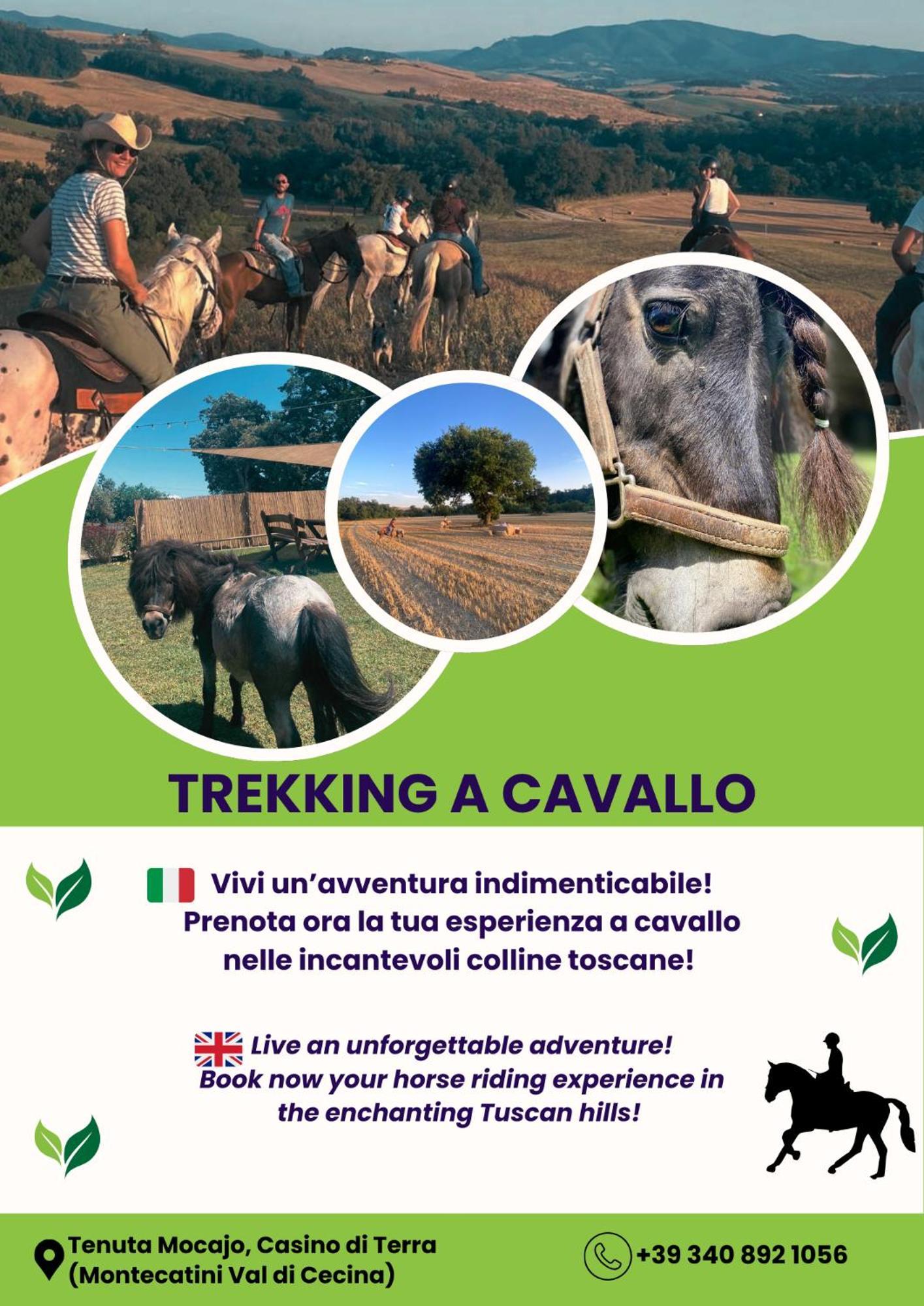 I Castagnini Daire Montecatini Val di Cecina Dış mekan fotoğraf
