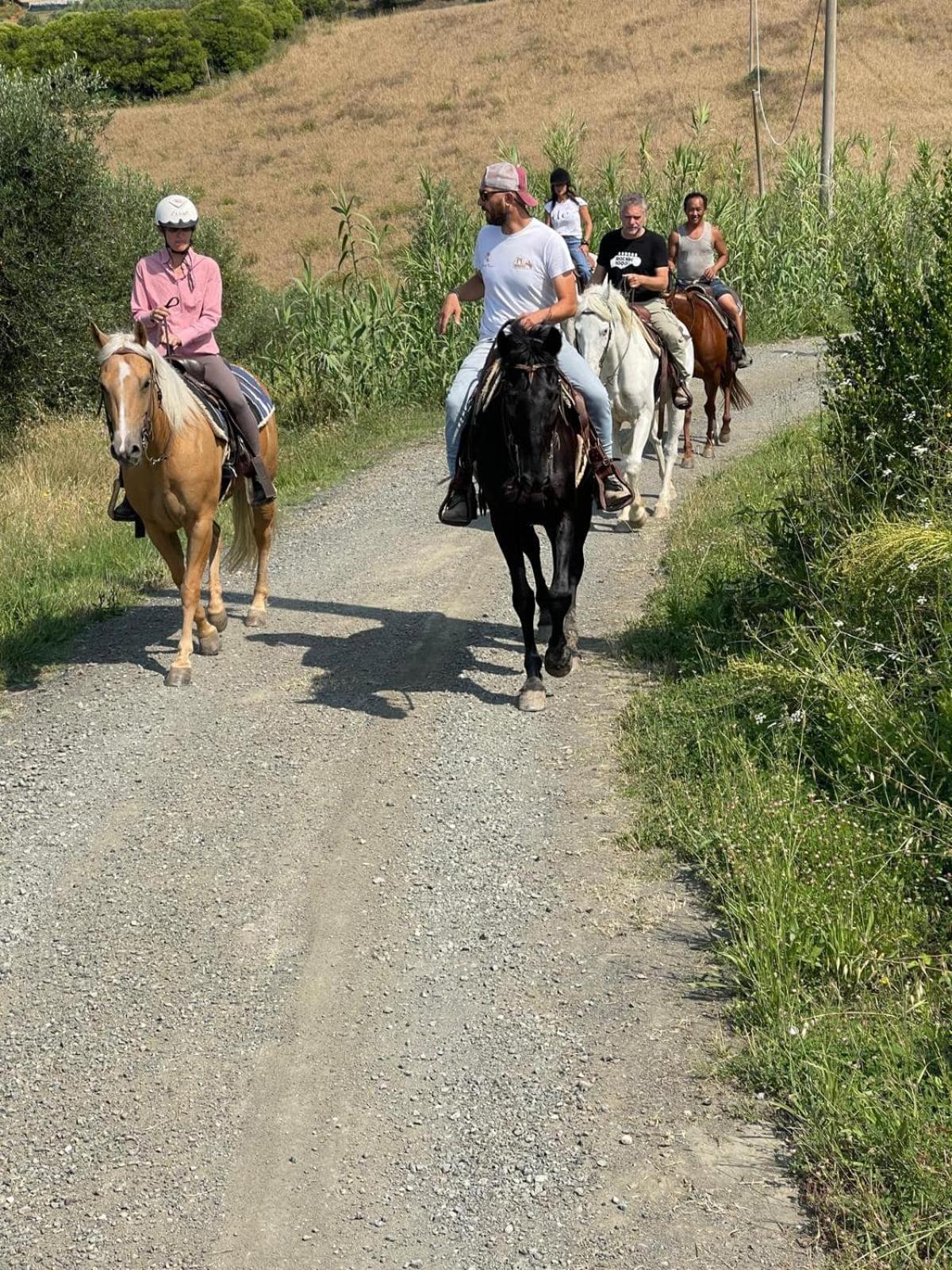 I Castagnini Daire Montecatini Val di Cecina Dış mekan fotoğraf