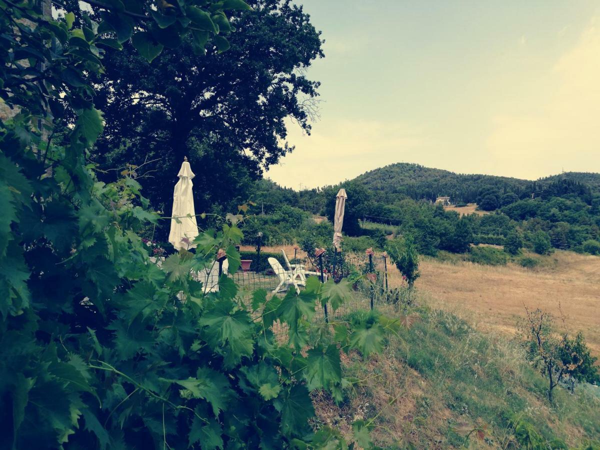 I Castagnini Daire Montecatini Val di Cecina Dış mekan fotoğraf