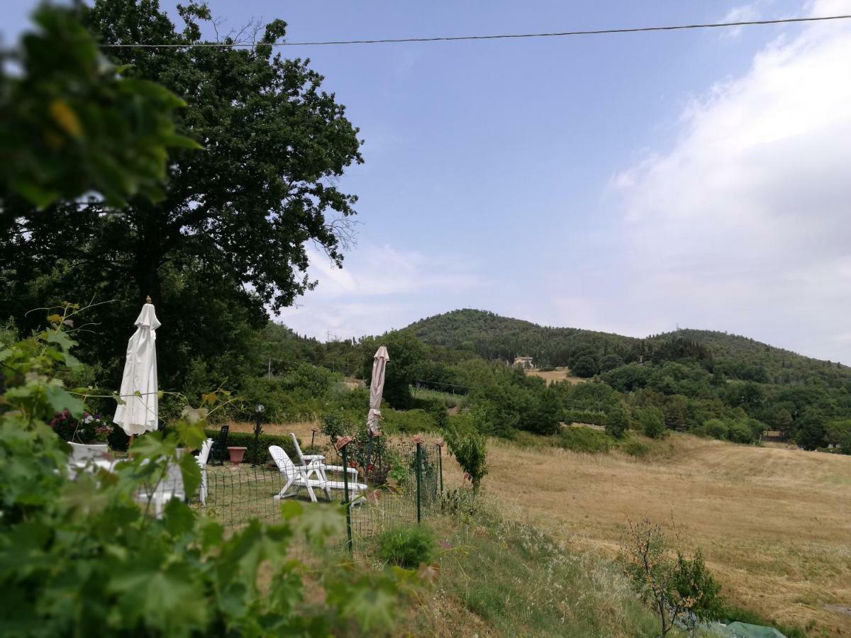 I Castagnini Daire Montecatini Val di Cecina Dış mekan fotoğraf