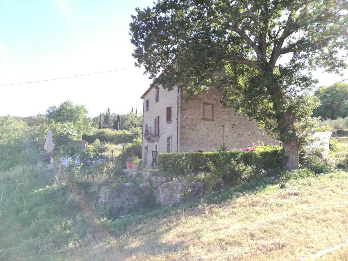 I Castagnini Daire Montecatini Val di Cecina Dış mekan fotoğraf